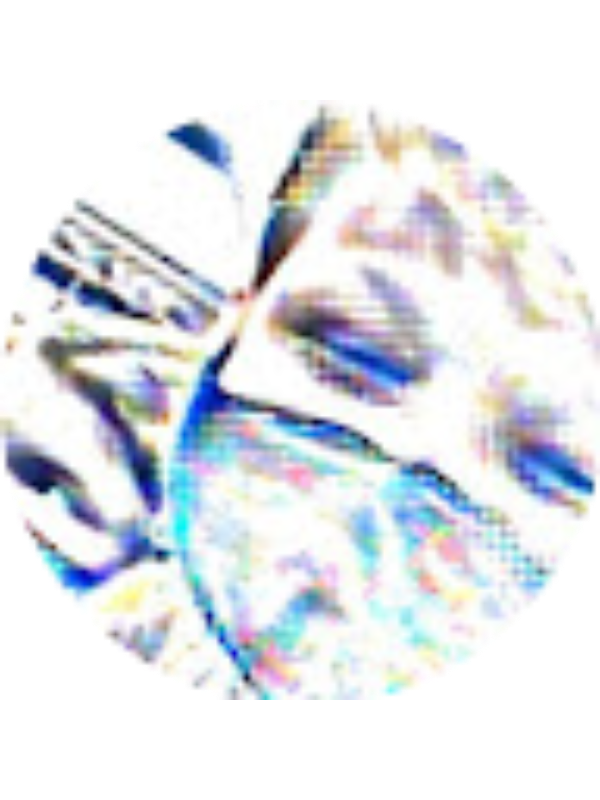 Photo of SOLOMON CHAPMAN