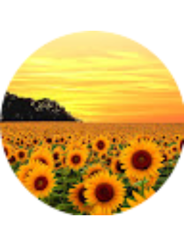 Photo of Leslie Kramer