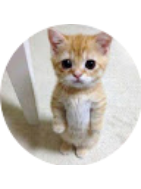 Photo of Andrea Llamas