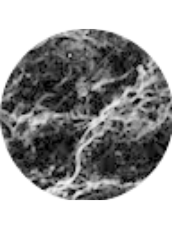 Photo of Anna Roling