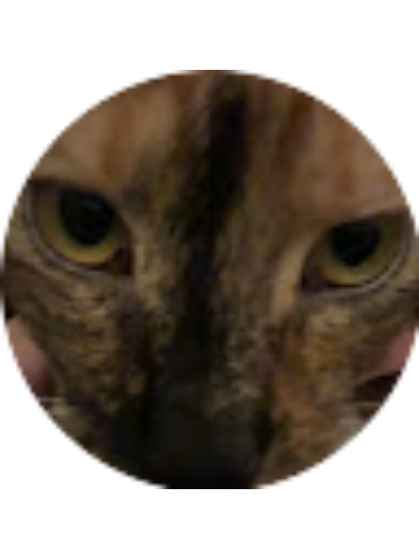 Photo of Jolie Wolfe