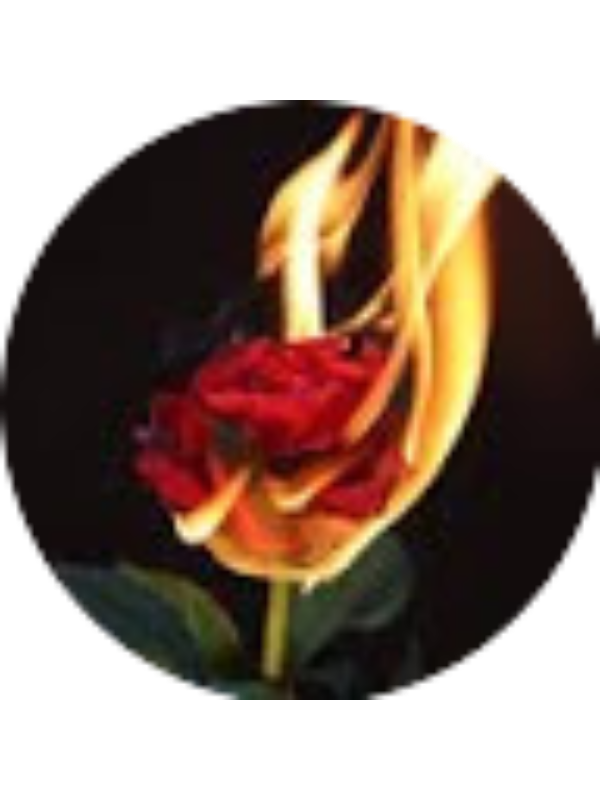 Photo of Sara Preciado