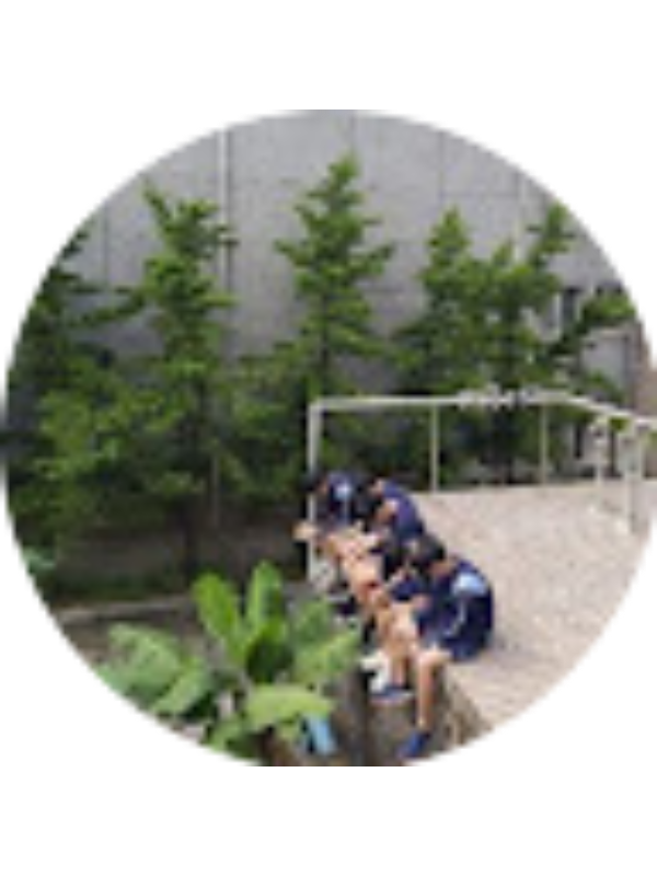 Photo of pig0936369885