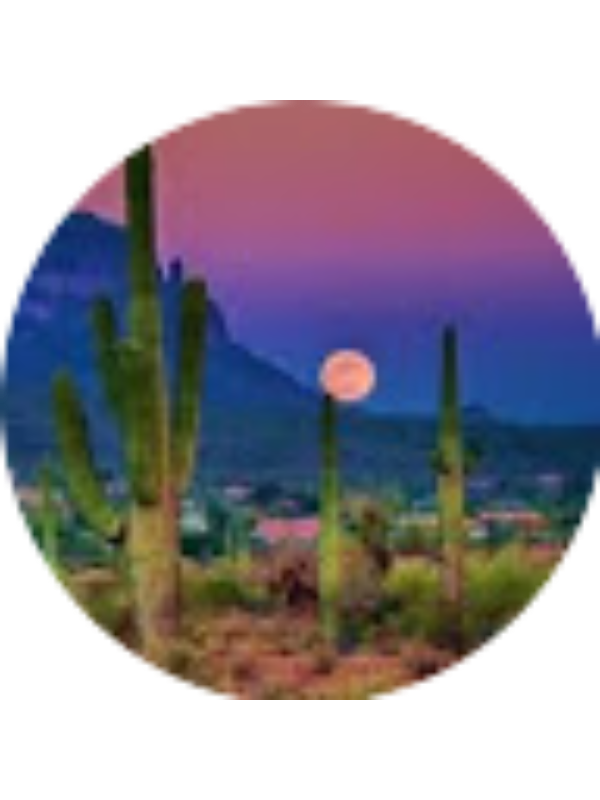 Photo of Sophia Stiegler