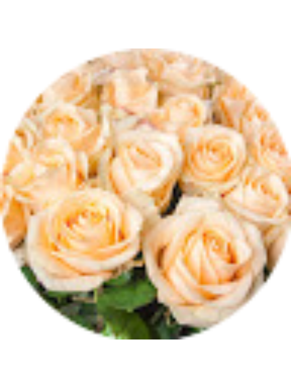 Photo of Анна Вихватенко