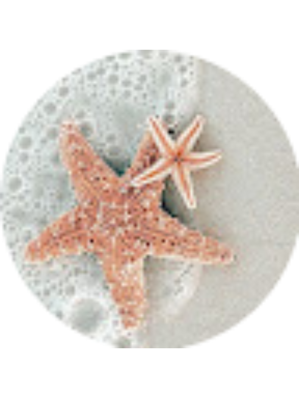 Photo of REAGAN WALMSLEY