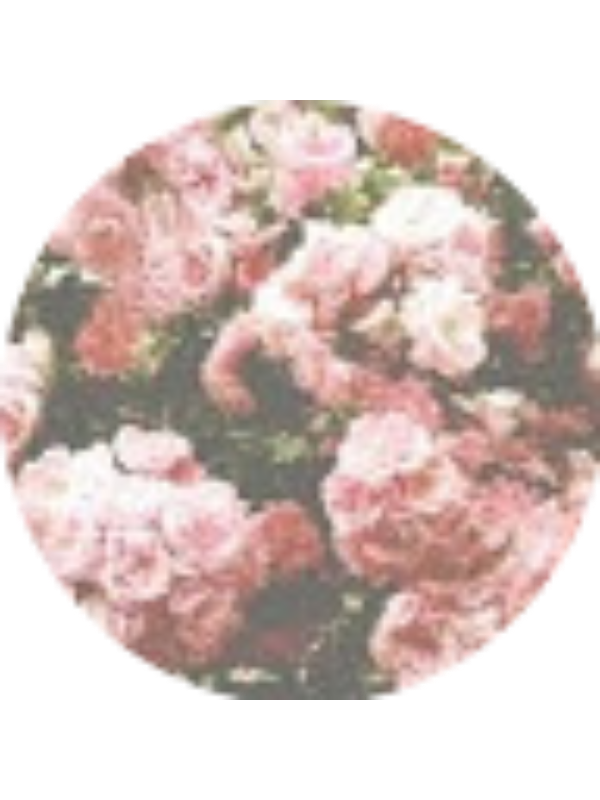 Photo of Ashlyn Jackson