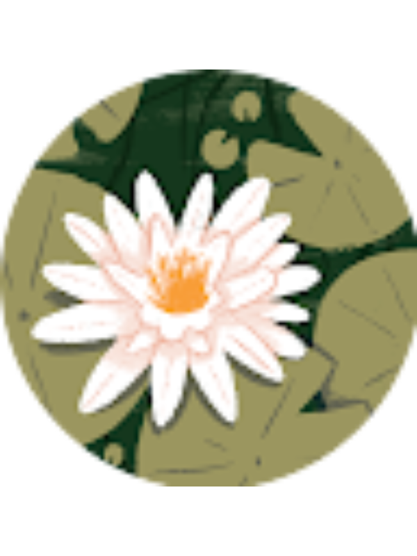 Photo of Brianne Harper