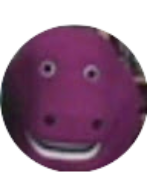 Photo of BRADY QUINN