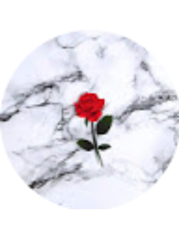 Photo of SHAWNA HINKLE