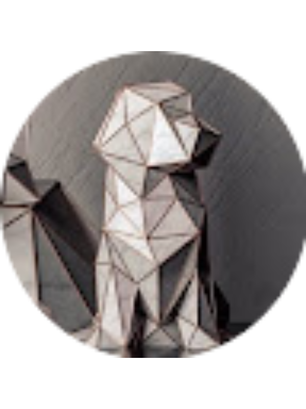 Photo of Anthony OsioAguilar