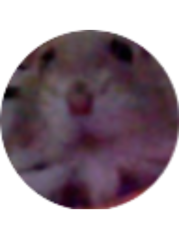 Photo of Mrheaume32 Mrheaume32