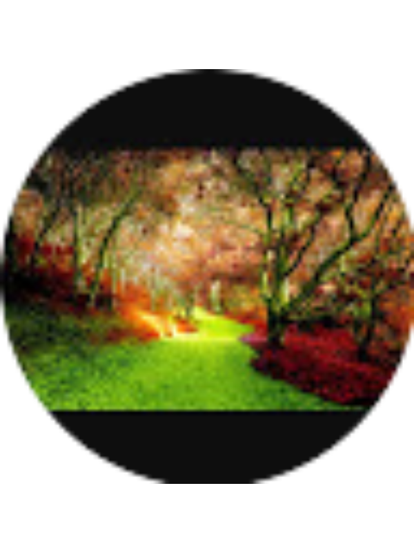 Photo of Tanushree Jadhav