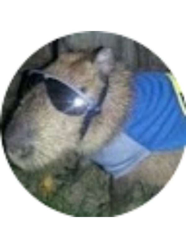 Photo of Dylan Boyle