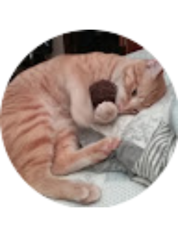 Photo of Ximena Villalta