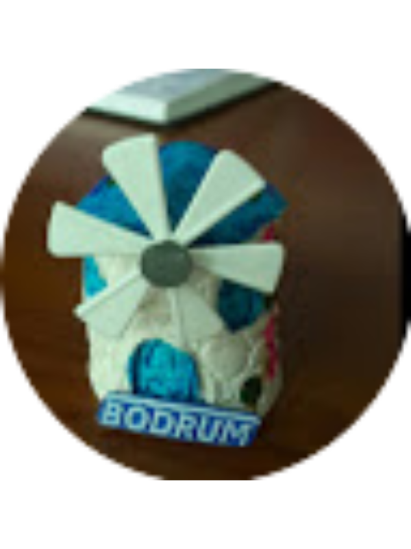 Photo of Seval Dogan