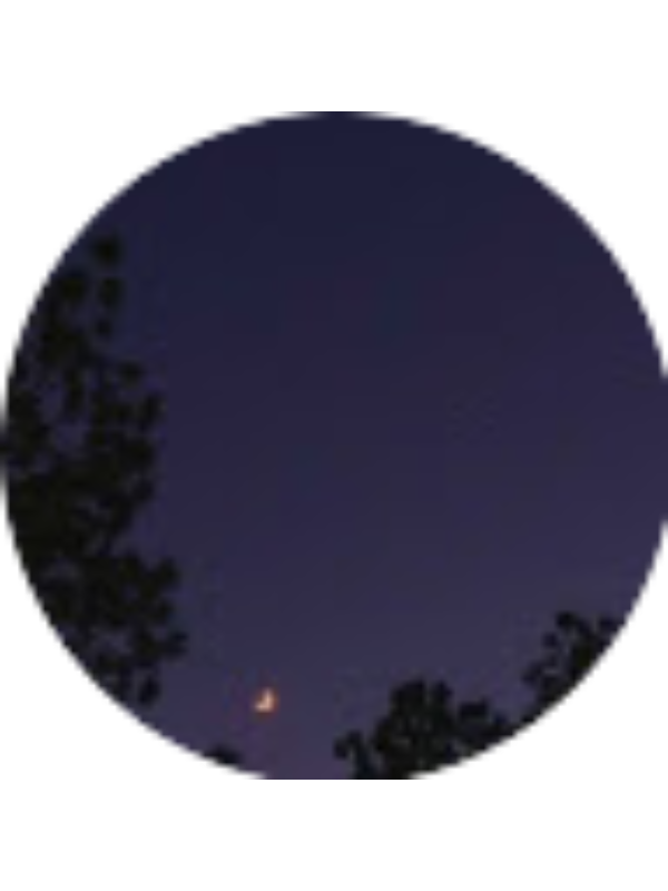 Photo of Fransiska Dyah