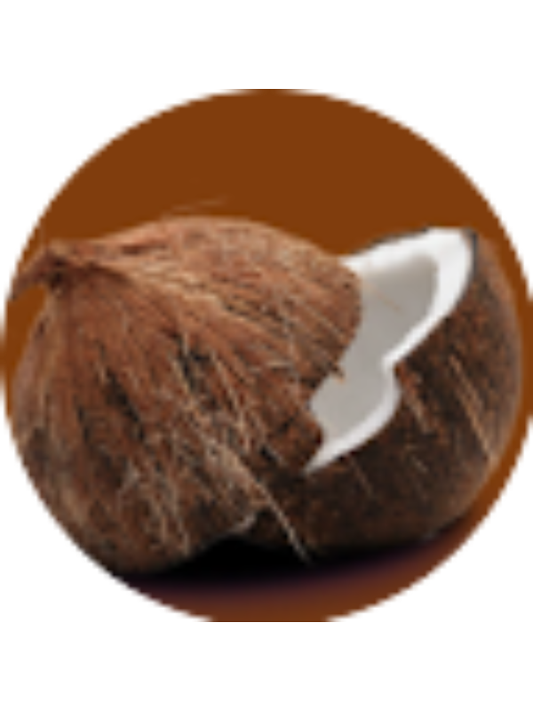 Photo of Le Coconut Head