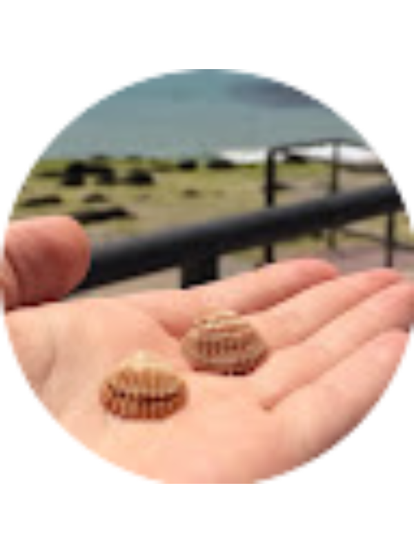 Photo of Tugba Bayram