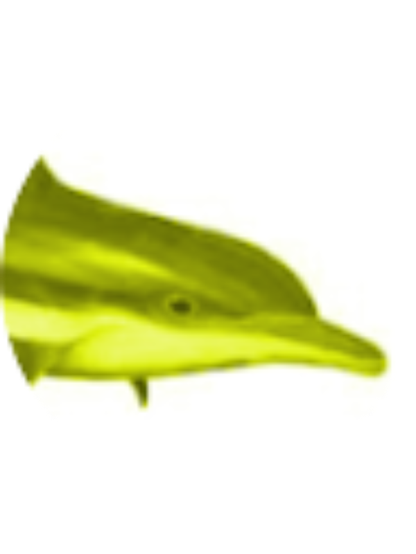 Photo of Evan P Whitehead