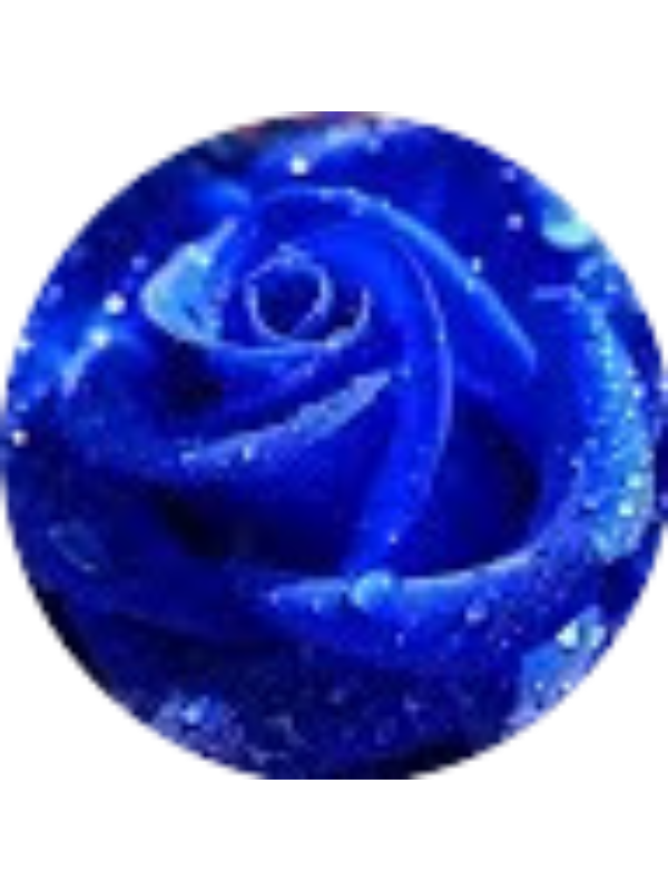 Photo of JENNIFER.ACOSTA-MEDINA 103017