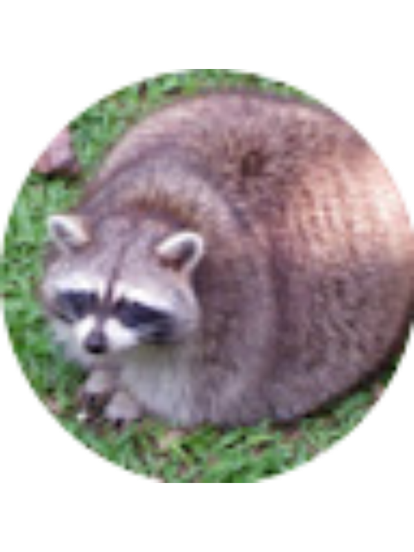 Photo of BRADLEY RENDLER