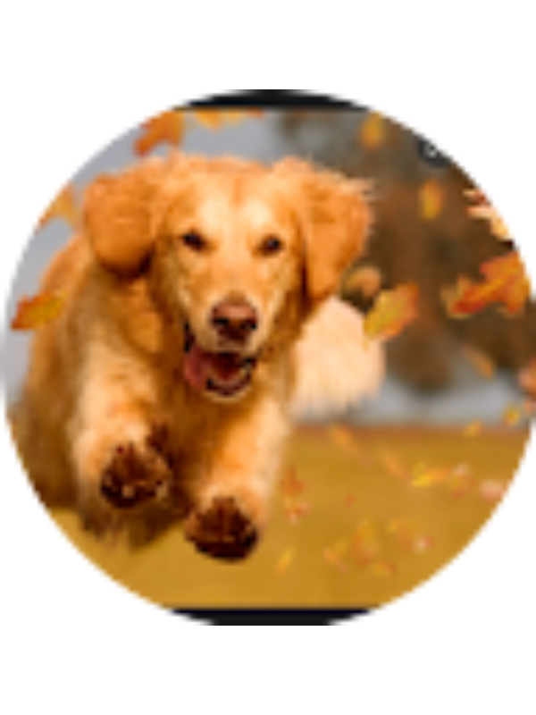 Photo of Gabriela Kuzdzal