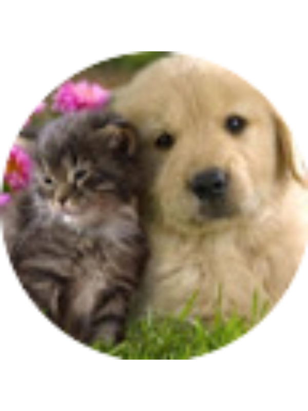 Photo of Jennifer Cano