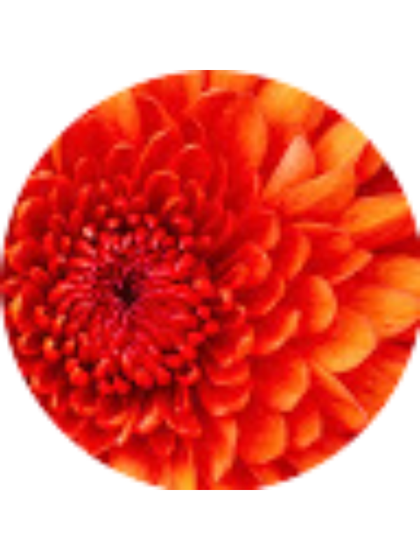 Photo of Alexandra Mahecha