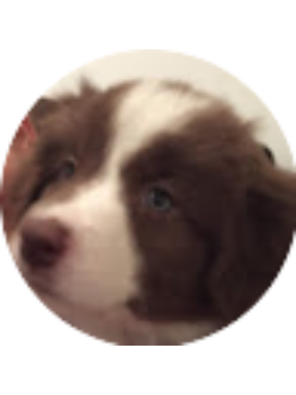 Photo of Isabella Barrero Castro