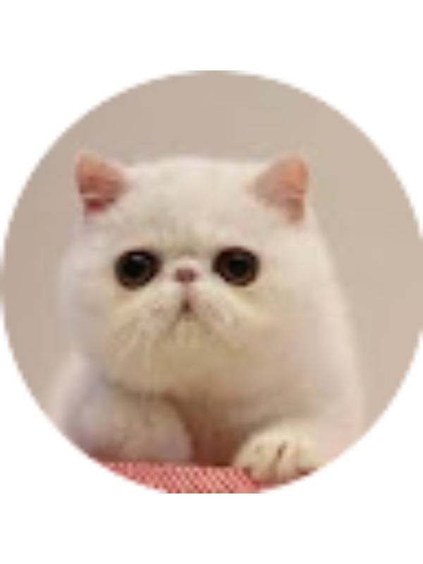 Photo of 馮樂晴 S6C11