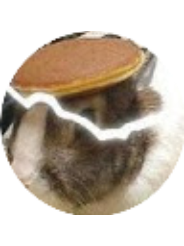 Photo of Andrew Franklin