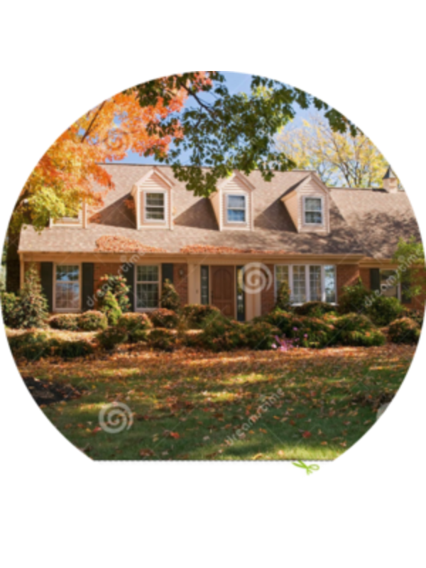 Photo of Tamara Alkhatib