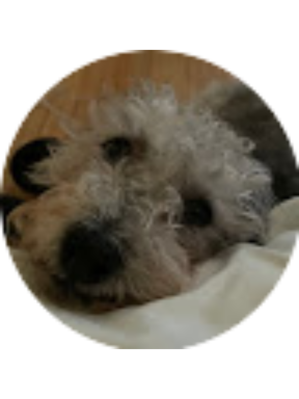 Photo of Janice Vang