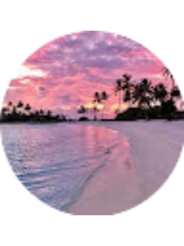 Photo of Allison Gray