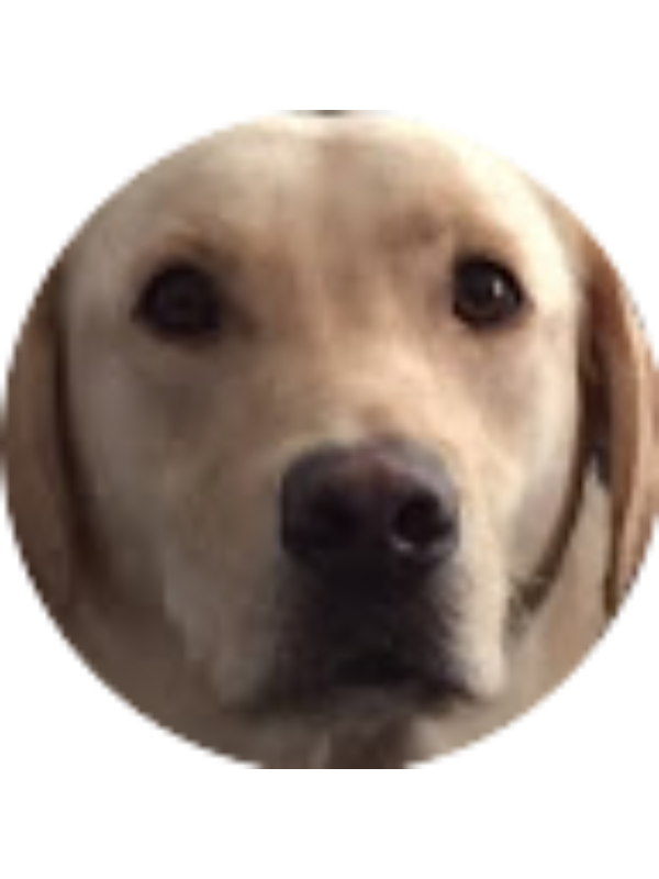 Photo of Xavier Paquette