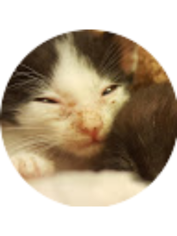 Photo of Celynn Leow