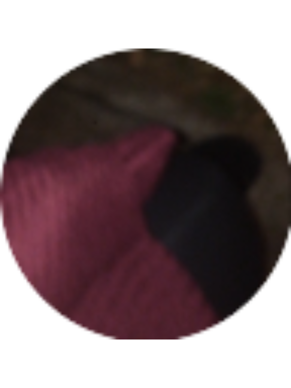 Photo of castillocyn200