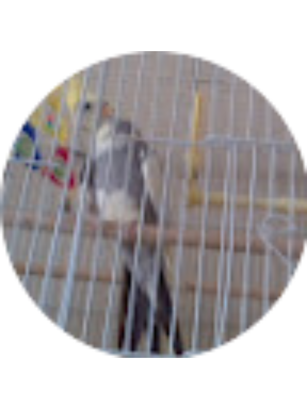 Photo of Julie Salisbury