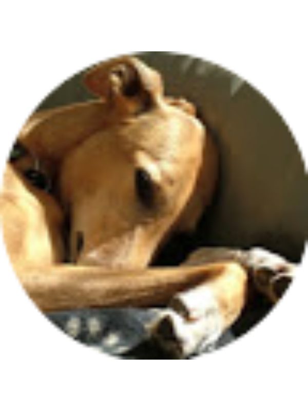 Photo of Abigail Deaton