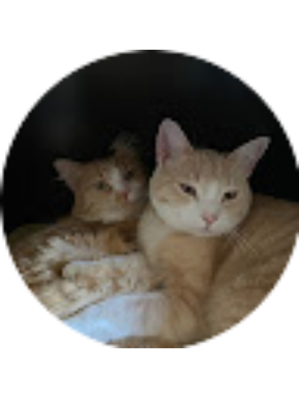 Photo of Kaitlyn Sprague