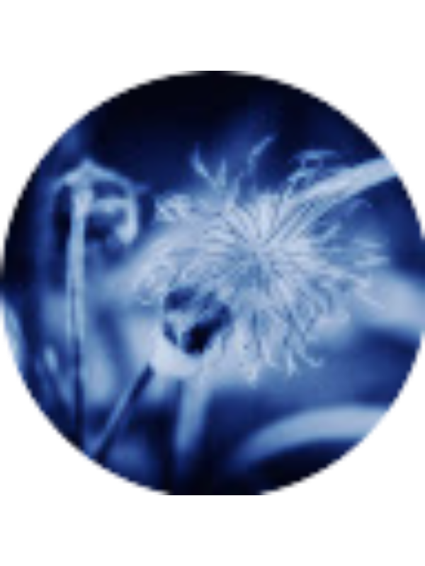 Photo of Vida Garjoniene